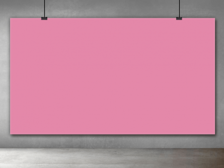 Dusty Pink Solid Backdrop for Photography