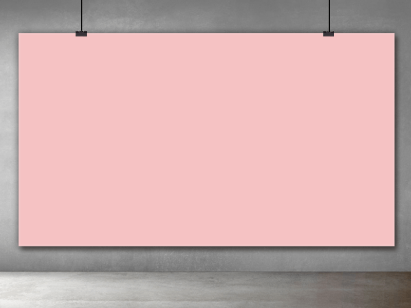 Light Pink Solid Backdrop for Baby Photography