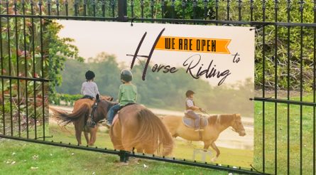 We Are Open To Horse Riding