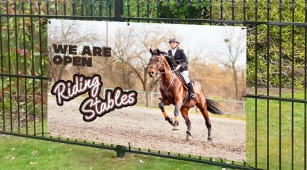 We Are Open Riding Stables