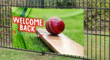 Welcome Back Cricket