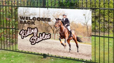 Welcome Back To Riding Stables