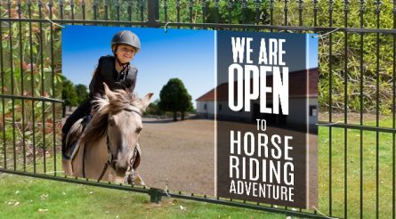 We Are Open To Horse Advanture