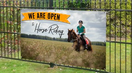 We Are Open To Horse Riding