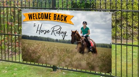 Welcome Back To Horse Riding View