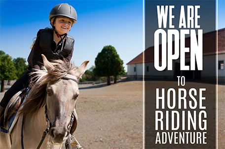 We Are Open To Horse Advanture
