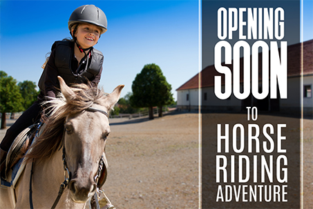 Opening Soon To Horse Riding Adventure