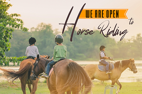 We Are Open To Horse Riding
