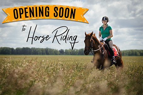 Opening Soon To Horse Riding Club