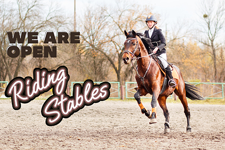 We Are Open Riding Stables
