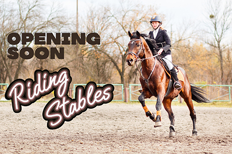 Opening Soon Riding Stables