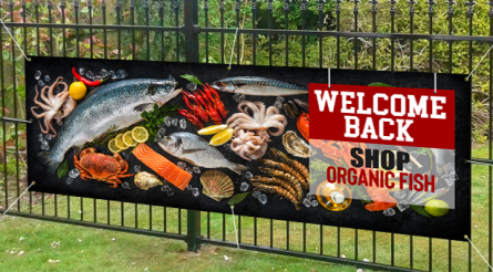 welcome Back Shop Organic Fish