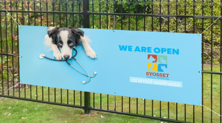 We Are Open Animal Wellness