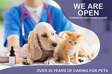 We Are Open Community Care Animal Hospital