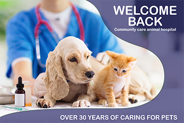 Welcome Back Community Care Animal Hospital
