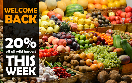 Welcome Back 20% This Week