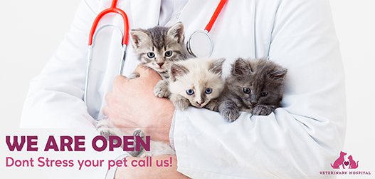 We Are Open Don’t Stress Your Pet Call Us!