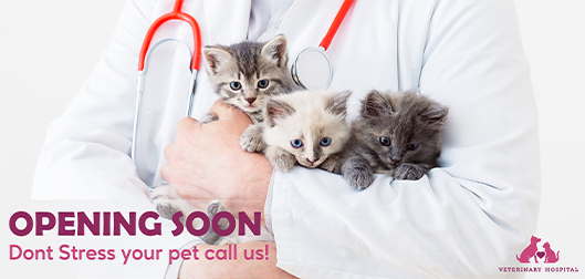 Opening Soon Don’t Stress Your Pet Call Us!