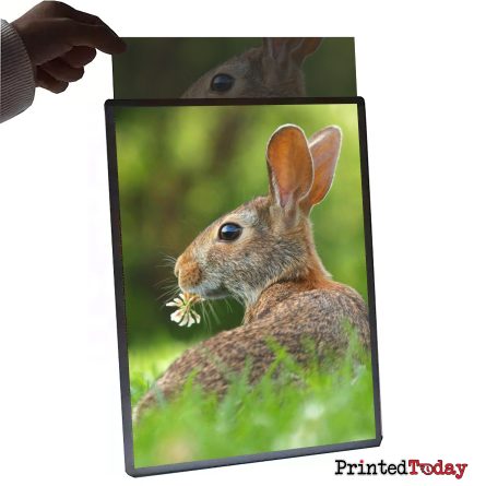A2 LED Lightbox Frames Replacement Graphics