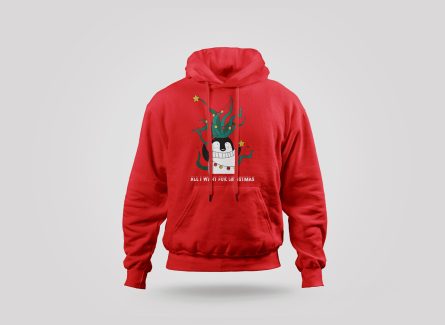 I have A Huge Package For You Hoodie