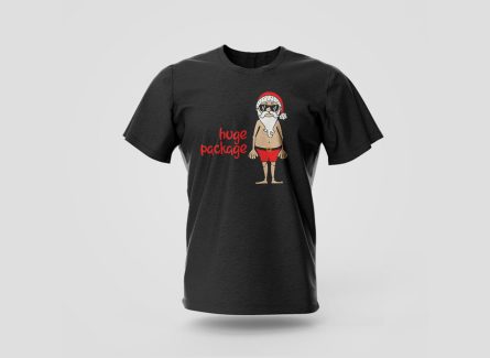 i have a huge package for you t-shirt