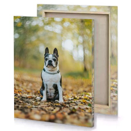 Oskar Kadaksoo Canvas