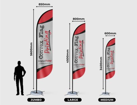 Convex Flags