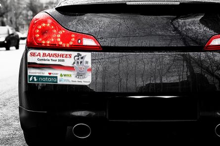 Bumper Sticker Printing