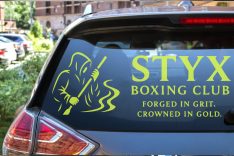 Clear Car Decal Stickers